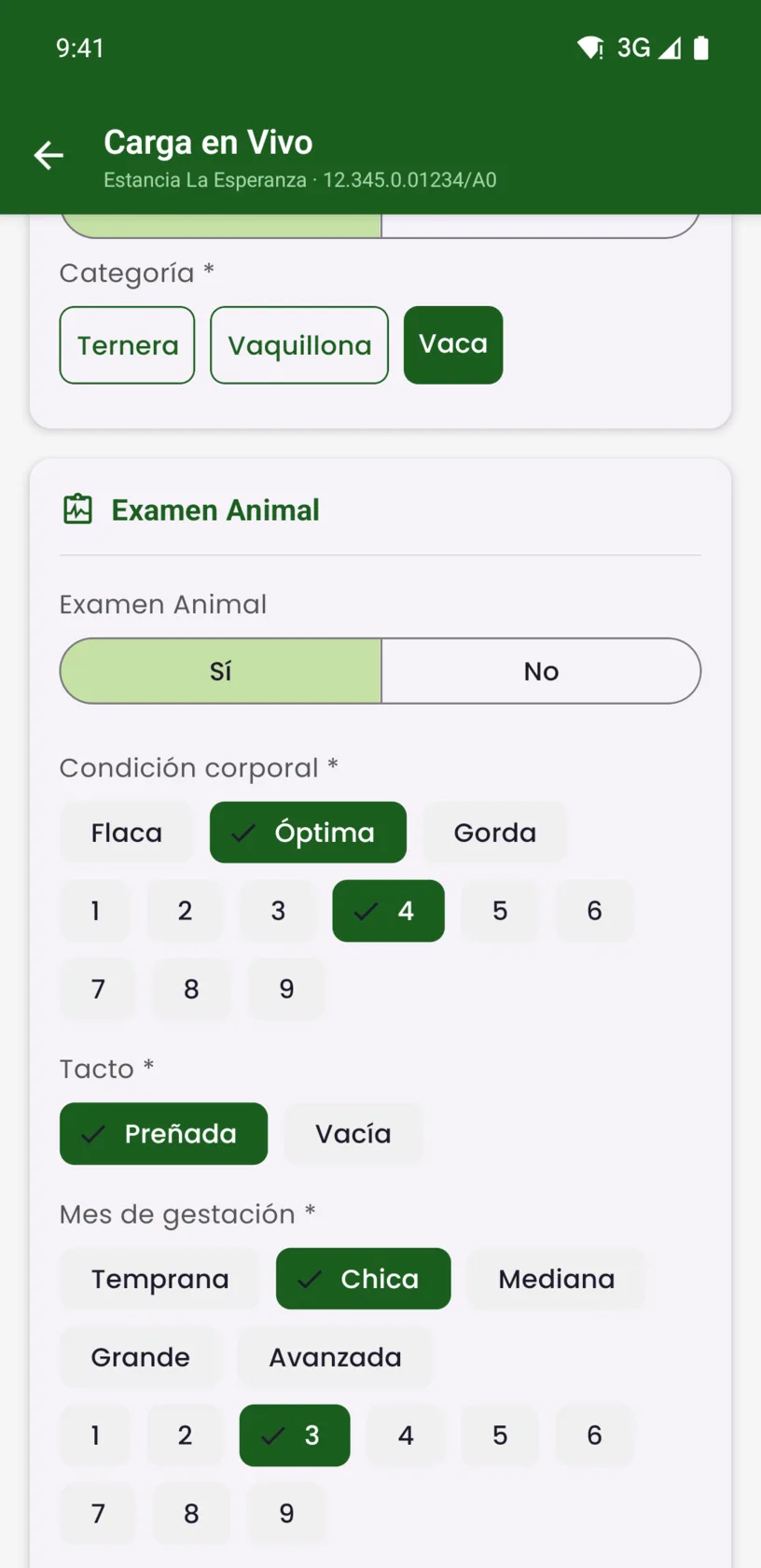 Carga en vivo en la manga: categoría del animal, condición corporal, tacto y mes de gestación, todo a un toque.